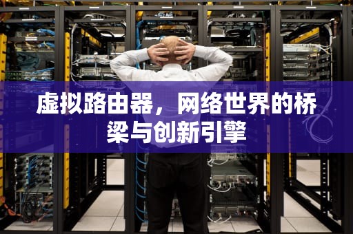 虚拟路由器，网络世界的桥梁与创新引擎