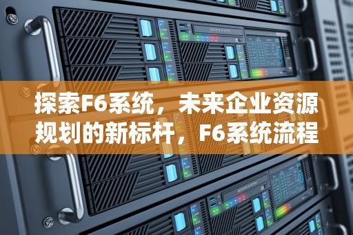 探索F6系统，未来企业资源规划的新标杆，F6系统流程图
