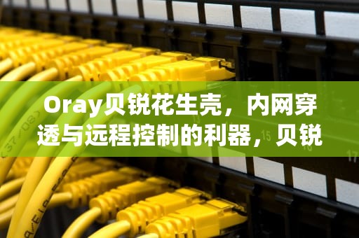 Oray贝锐花生壳，内网穿透与远程控制的利器，贝锐科技花生壳售后客服电话