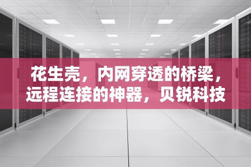 花生壳，内网穿透的桥梁，远程连接的神器，贝锐科技花生壳售后客服电话