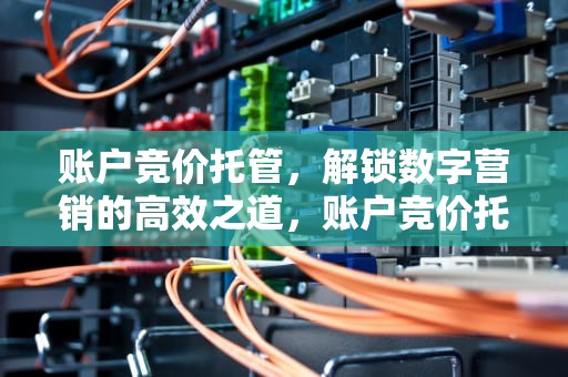 账户竞价托管，解锁数字营销的高效之道，账户竞价托管哪里好