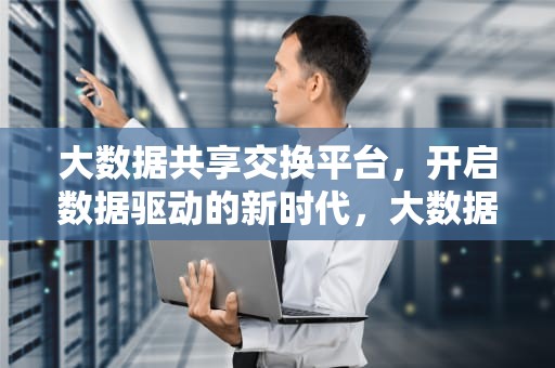 大数据共享交换平台，开启数据驱动的新时代，大数据共享交换平台有哪些