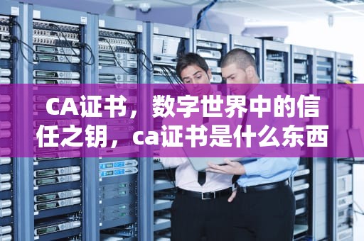 CA证书，数字世界中的信任之钥，ca证书是什么东西