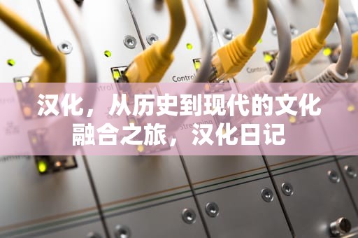 汉化，从历史到现代的文化融合之旅，汉化日记