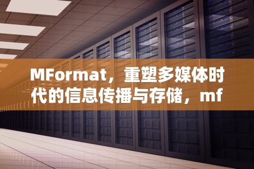 MFormat，重塑多媒体时代的信息传播与存储，mformation