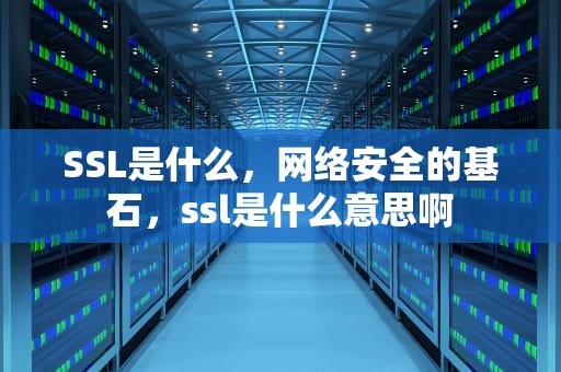 SSL是什么，网络安全的基石，ssl是什么意思啊