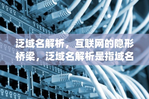 泛域名解析，互联网的隐形桥梁，泛域名解析是指域名解析服务器根据来访者的ip地址类型
