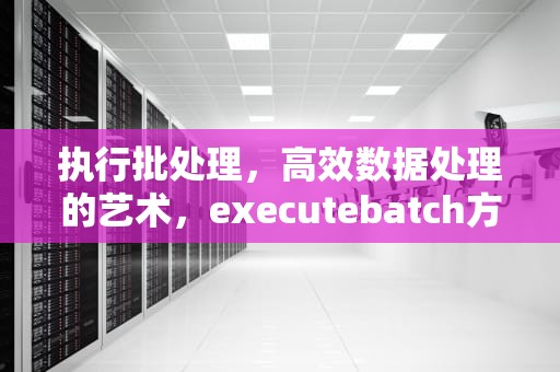 执行批处理，高效数据处理的艺术，executebatch方法