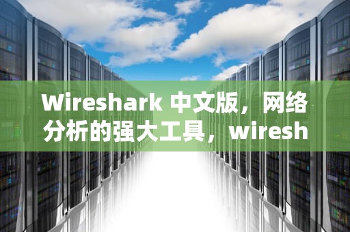 Wireshark 中文版，网络分析的强大工具，wireshark中文版下载