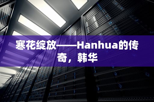 寒花绽放——Hanhua的传奇，韩华