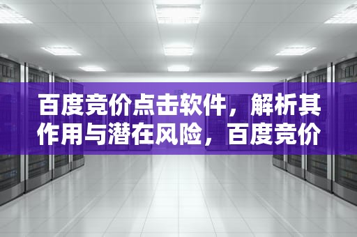 百度竞价点击软件，解析其作用与潜在风险，百度竞价点击软件奔奔