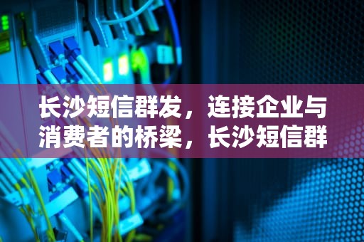 长沙短信群发，连接企业与消费者的桥梁，长沙短信群发平台公司