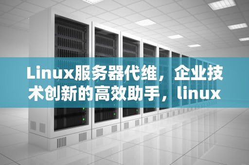 Linux服务器代维，企业技术创新的高效助手，linux服务器代理