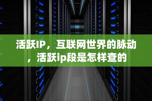 活跃IP，互联网世界的脉动，活跃ip段是怎样查的