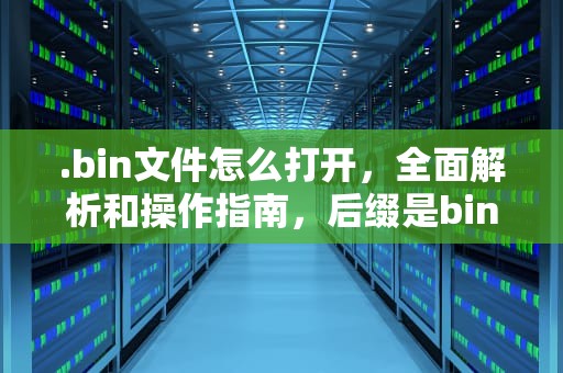.bin文件怎么打开，全面解析和操作指南，后缀是bin的文件怎么打开