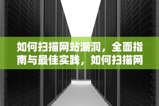 如何扫描网站漏洞，全面指南与最佳实践，如何扫描网站漏洞文件