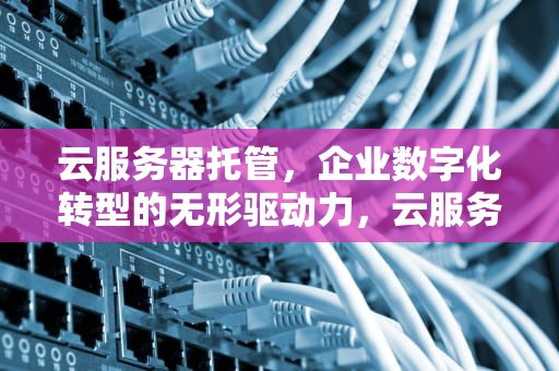 云服务器托管，企业数字化转型的无形驱动力，云服务器托管服务