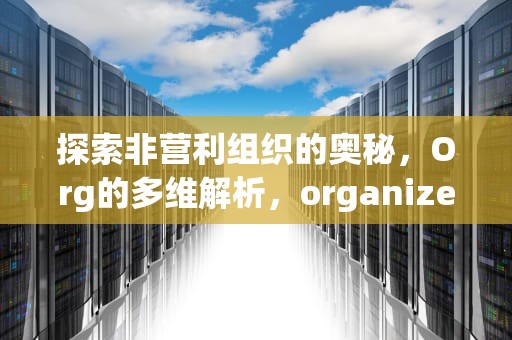 探索非营利组织的奥秘，Org的多维解析，organize