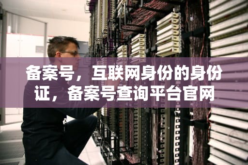 备案号，互联网身份的身份证，备案号查询平台官网