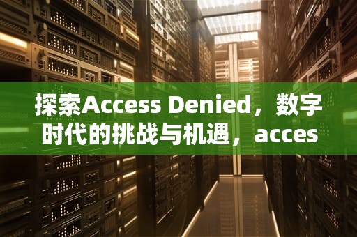 探索Access Denied，数字时代的挑战与机遇，access denied for user root@localhost