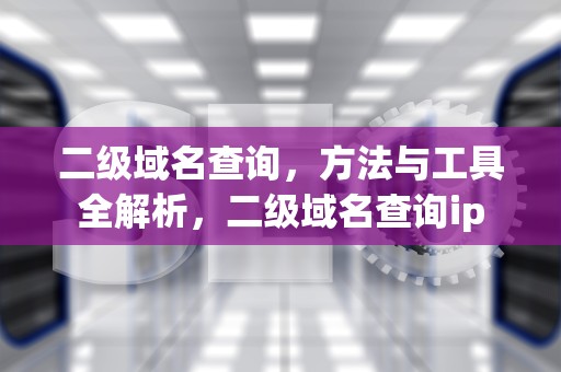 二级域名查询，方法与工具全解析，二级域名查询ip