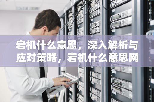 宕机什么意思，深入解析与应对策略，宕机什么意思网络用语