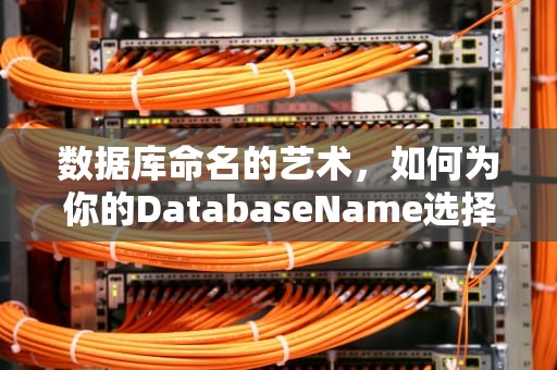 数据库命名的艺术，如何为你的DatabaseName选择合适的名称