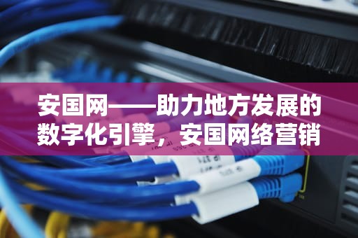 安国网——助力地方发展的数字化引擎，安国网络营销服务