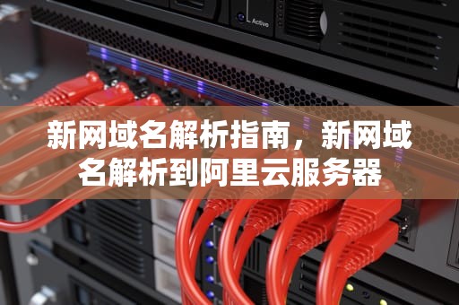新网域名解析指南，新网域名解析到阿里云服务器