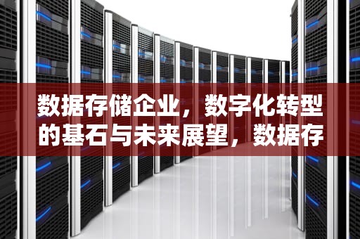 数据存储企业，数字化转型的基石与未来展望，数据存储企业排行榜