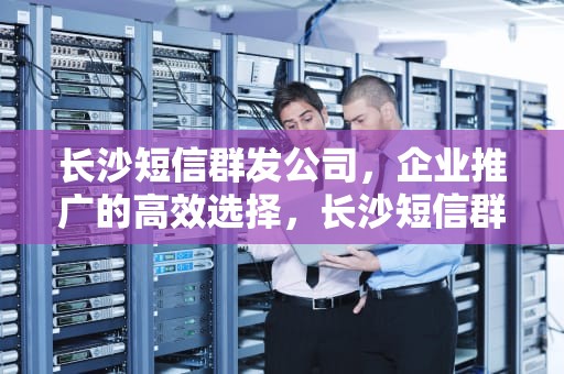 长沙短信群发公司，企业推广的高效选择，长沙短信群发公司有哪些