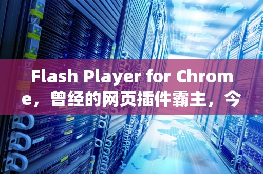 Flash Player for Chrome，曾经的网页插件霸主，今日的安全隐忧解决者