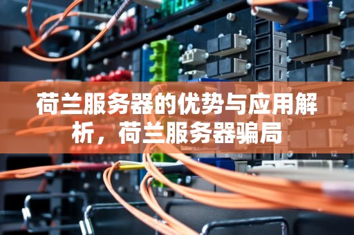 荷兰服务器的优势与应用解析，荷兰服务器骗局