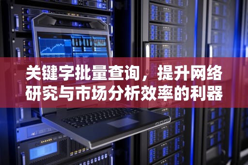 关键字批量查询，提升网络研究与市场分析效率的利器，关键字批量查询怎么设置