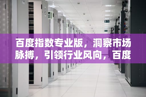 百度指数专业版，洞察市场脉搏，引领行业风向，百度指数专业版功能介绍