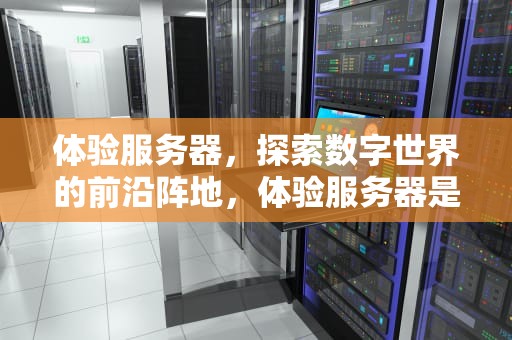 体验服务器，探索数字世界的前沿阵地，体验服务器是什么意思