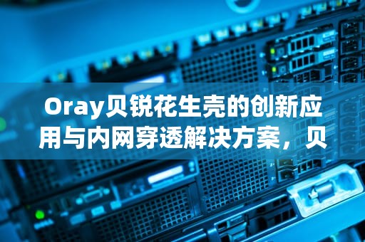 Oray贝锐花生壳的创新应用与内网穿透解决方案，贝锐科技花生壳售后客服电话