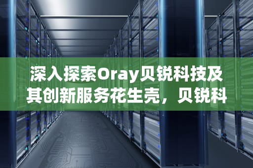 深入探索Oray贝锐科技及其创新服务花生壳，贝锐科技花生壳售后客服电话