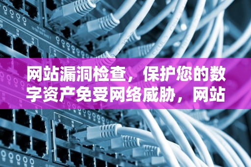 网站漏洞检查，保护您的数字资产免受网络威胁，网站漏洞检查方法