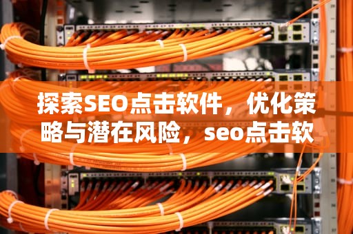 探索SEO点击软件，优化策略与潜在风险，seo点击软件哪个好用