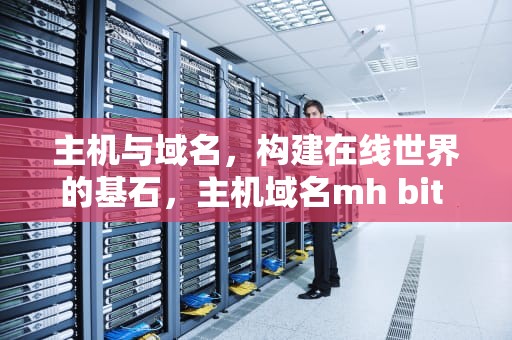 主机与域名，构建在线世界的基石，主机域名mh bit edu cn中最高域