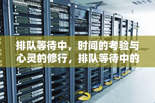 排队等待中，时间的考验与心灵的修行，排队等待中的顾客心理及其应对策略