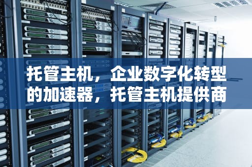 托管主机，企业数字化转型的加速器，托管主机提供商