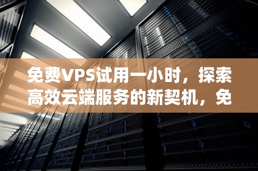 免费VPS试用一小时，探索高效云端服务的新契机，免费vps试用一小时梯子