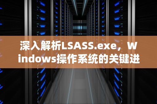 深入解析LSASS.exe，Windows操作系统的关键进程，lsass.exe是什么程序