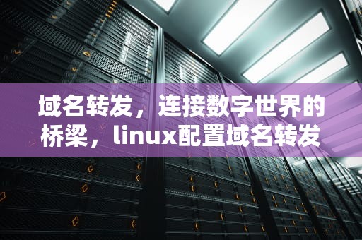 域名转发，连接数字世界的桥梁，linux配置域名转发