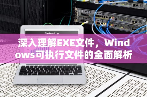 深入理解EXE文件，Windows可执行文件的全面解析，exe是什么文件怎么打开