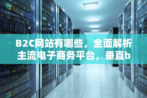 B2C网站有哪些，全面解析主流电子商务平台，垂直b2c网站有哪些