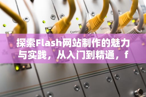 探索Flash网站制作的魅力与实践，从入门到精通，flash网站的制作