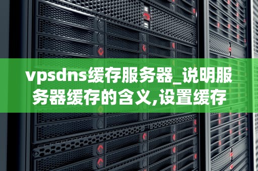 vpsdns缓存服务器_说明服务器缓存的含义,设置缓存有什么好处?_VPSDNS缓存服务器的深入解析